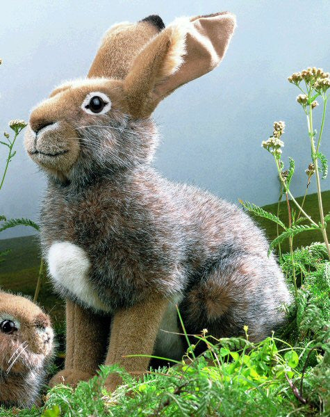 Hare by Kosen - 42cm