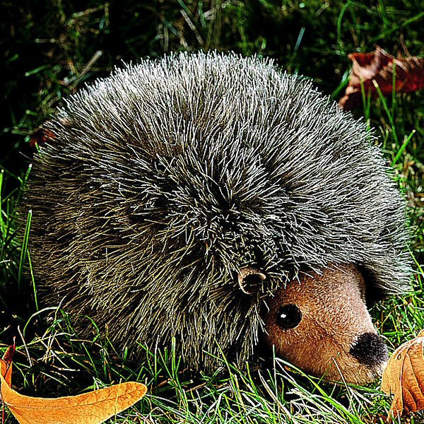 Hedgehog by Kosen - 15cm