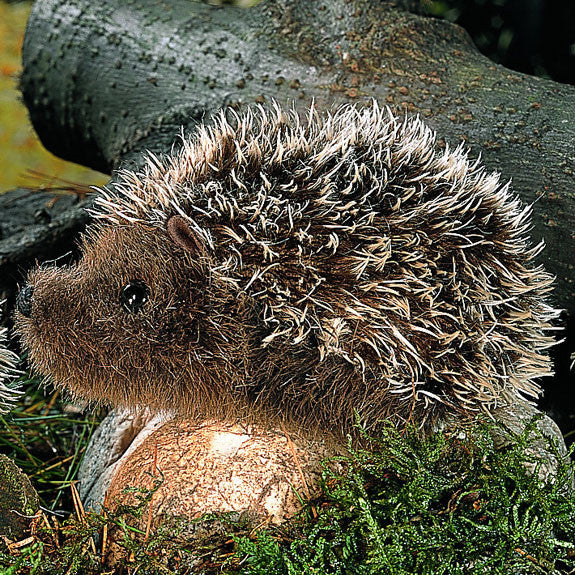 Hedgehog by Kosen - 11cm, mohair