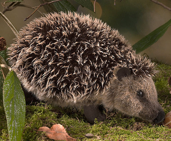 Hedgehog by Kosen - 26cm