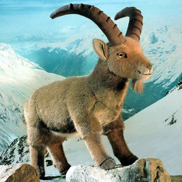 Ibex by Kosen - 35cm