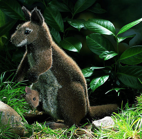 Kangaroo by Kosen - 36cm