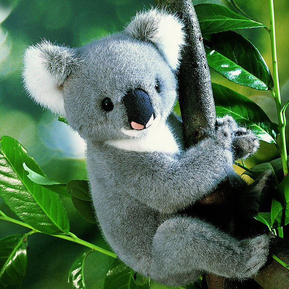 Koala bear by Kosen - 23cm