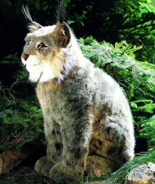 Lynx by Kosen - 43cm