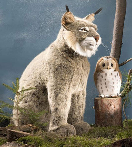 Lynx by Kosen - 66cm