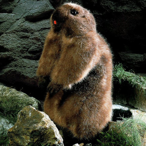 Marmot by Kosen - 34cm