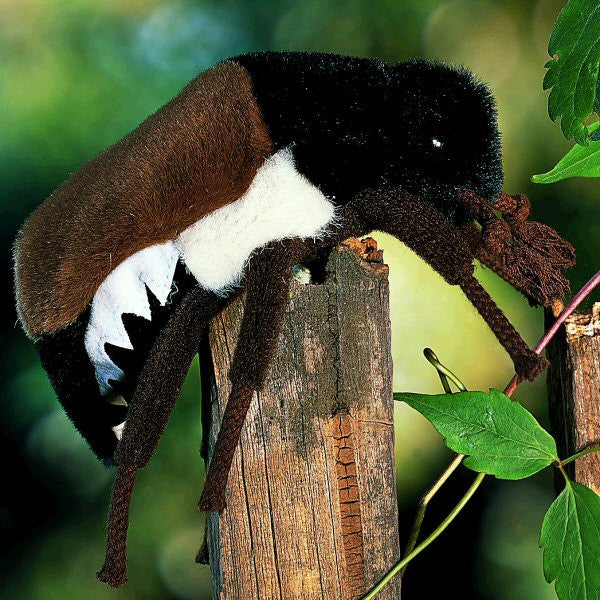 Maybug by Kosen - 14cm