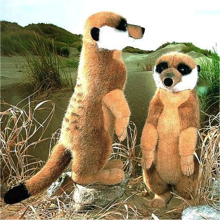 Meerkat by Kosen - 38cm