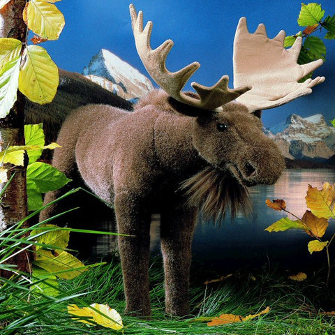 Moose by Kosen - 44cm