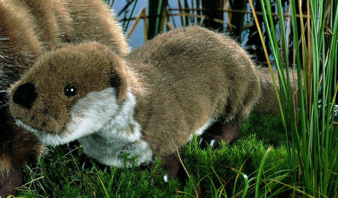 Otter by Kosen - 36cm