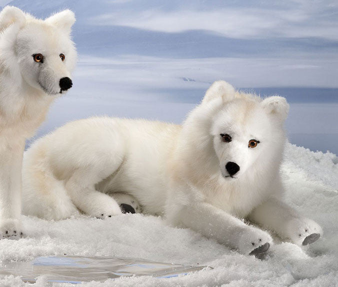 White wolf hot sale teddy