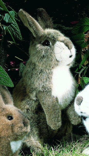 Rabbit by Kosen - 35cm