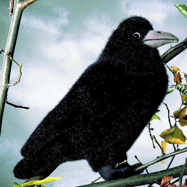 Rook by Kosen - 29cm