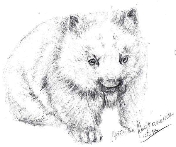 Wombat Baby by Kosen - 24cm