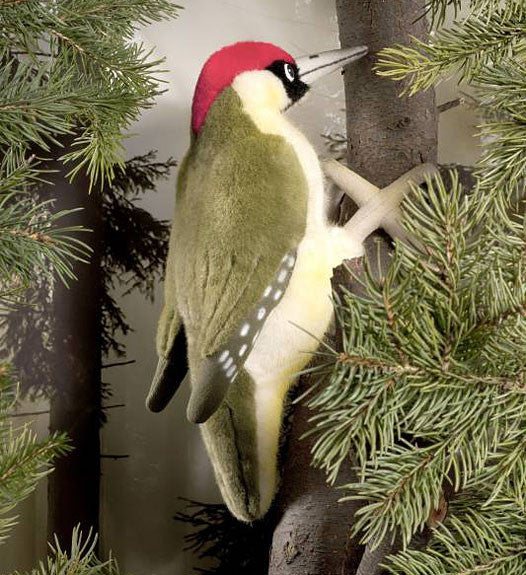 Woodpecker by Kosen - 27cm, green